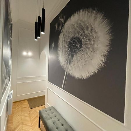 Flower Apartment Budapest Exterior photo